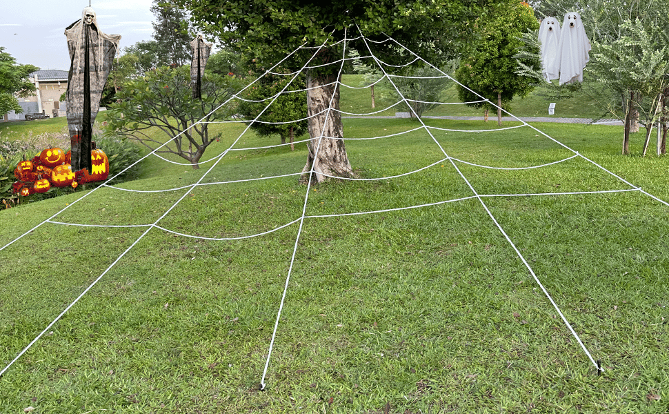 Spider Web Details