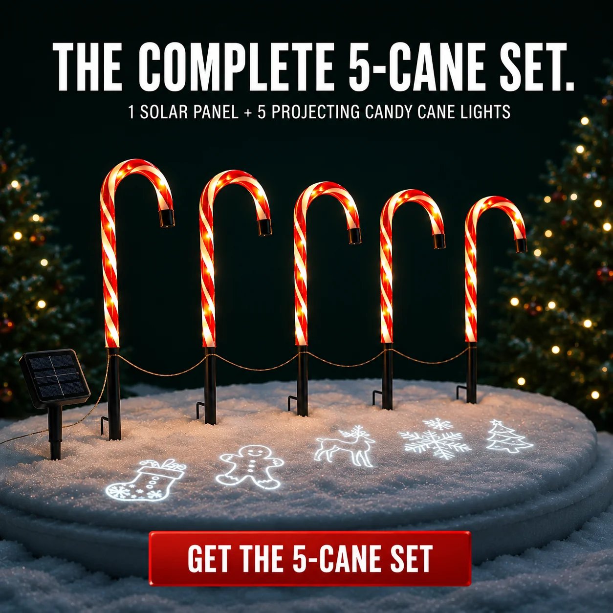 Complete five cane solar projector Christmas light set