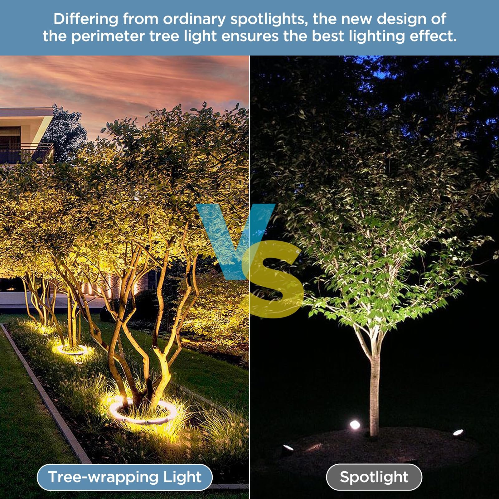 Night comparison of a tree lit by a wrap-around ring light versus a single spotlight