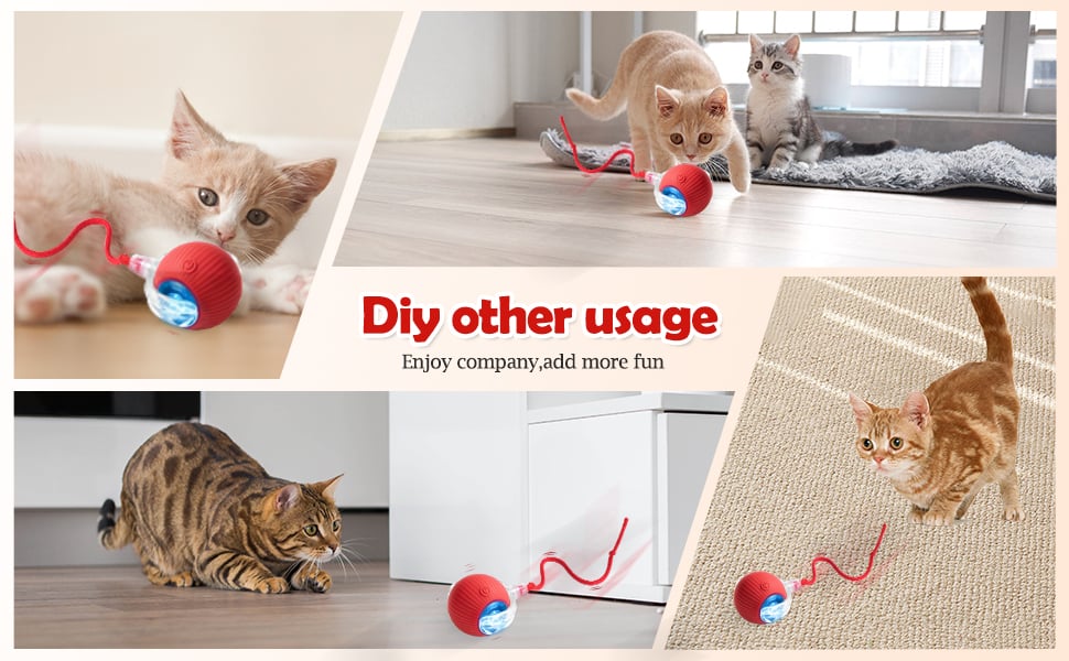rolling dog ball motion activated dog toy motorized cat toys for indoor cats bird toy for cats