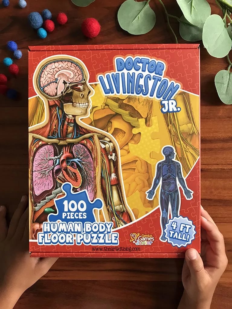 dr livingston jr human body floor puzzle review timberdoodle the art kit 4