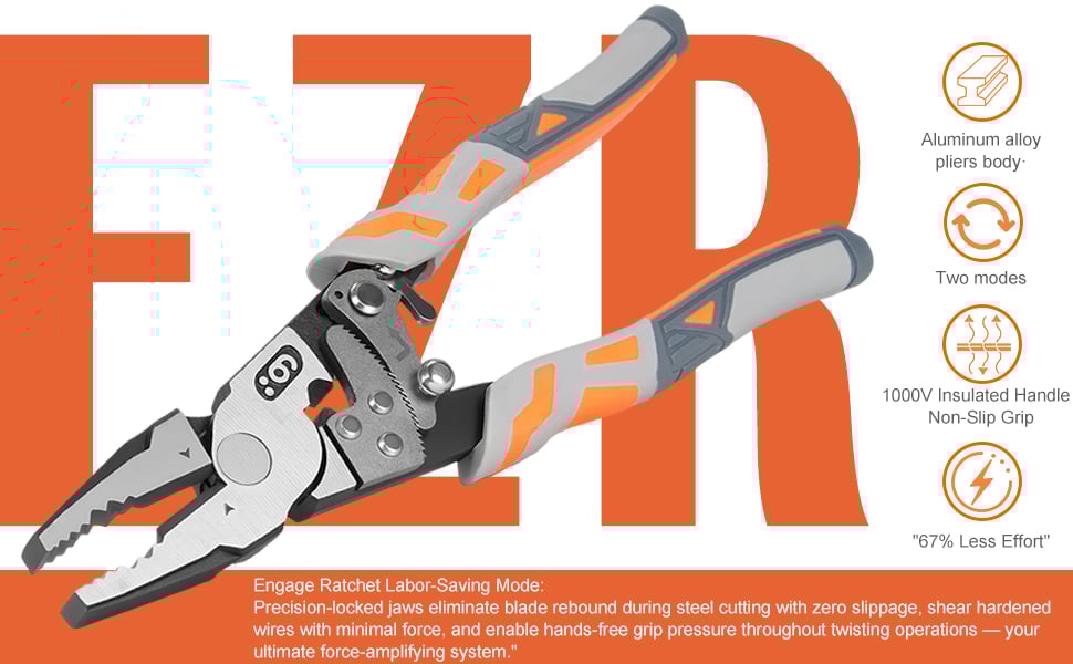 professional ratchet