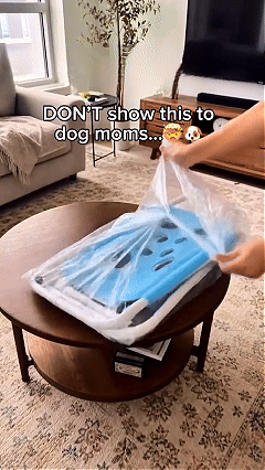 Pet grooming hammock table for cats kittens and small dogs GIF