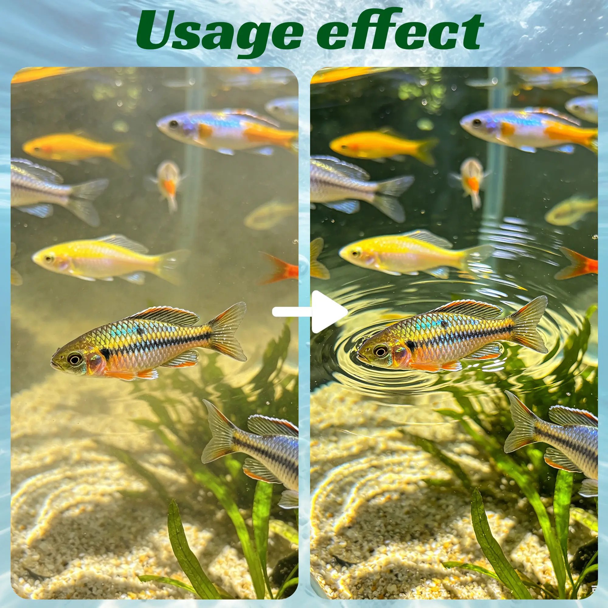Usage Effect