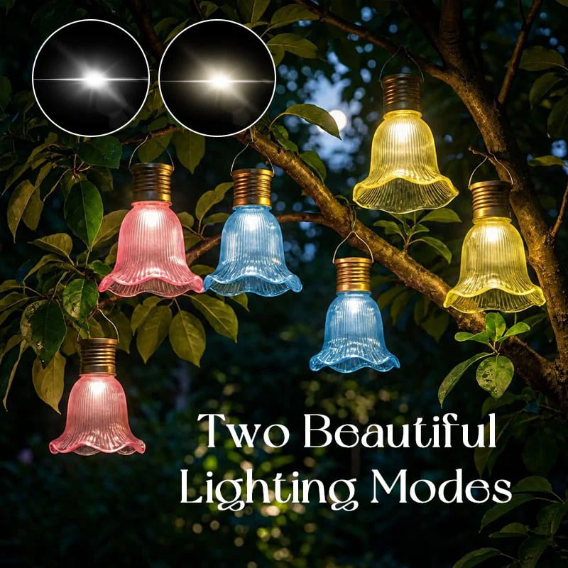 Two Lighting Modes Two Lighting Modes