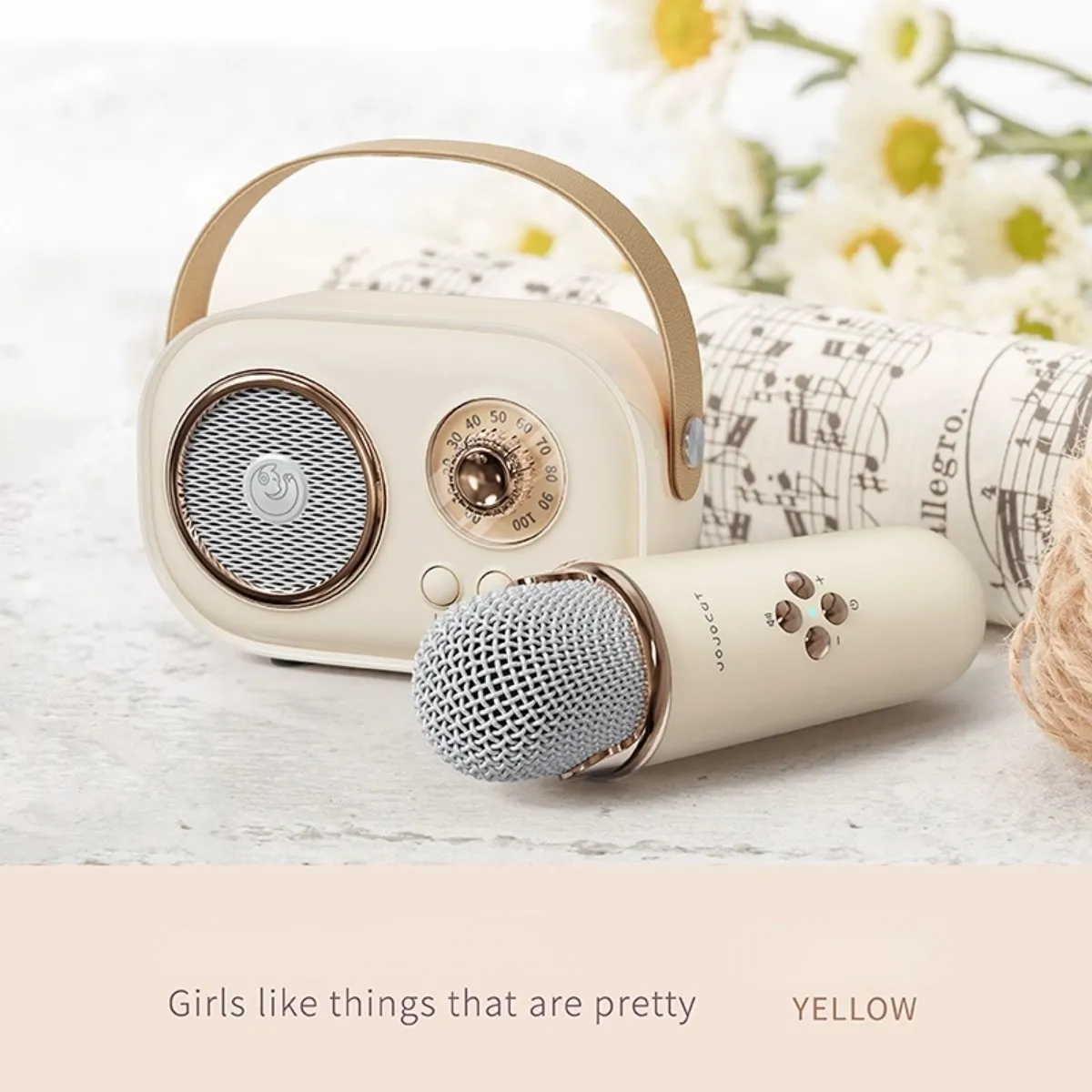 Mini Karaoke Machine Portable Bluetooth Speaker with Wireless ...