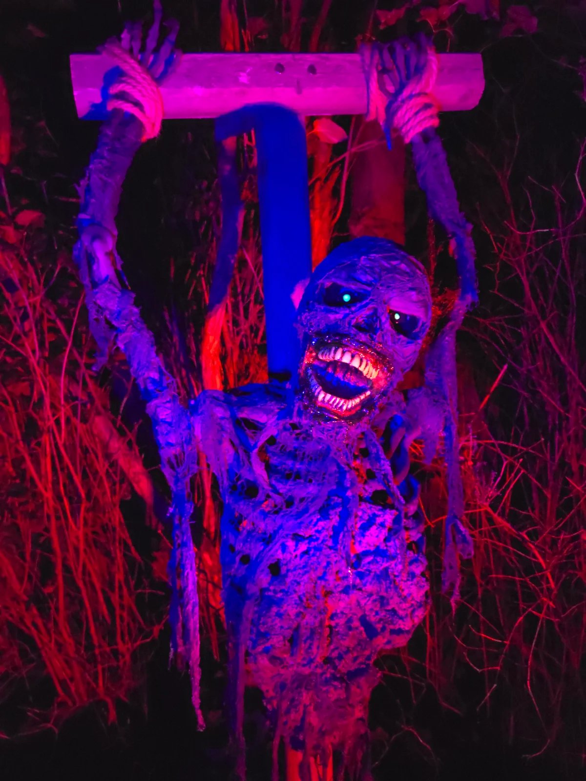 Strung out Corpse