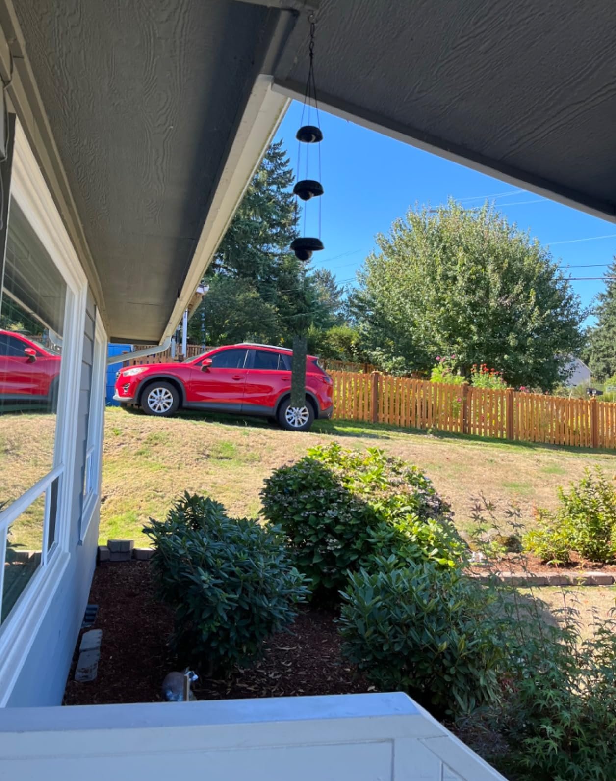 Just what I was looking for! Just what I was looking for!