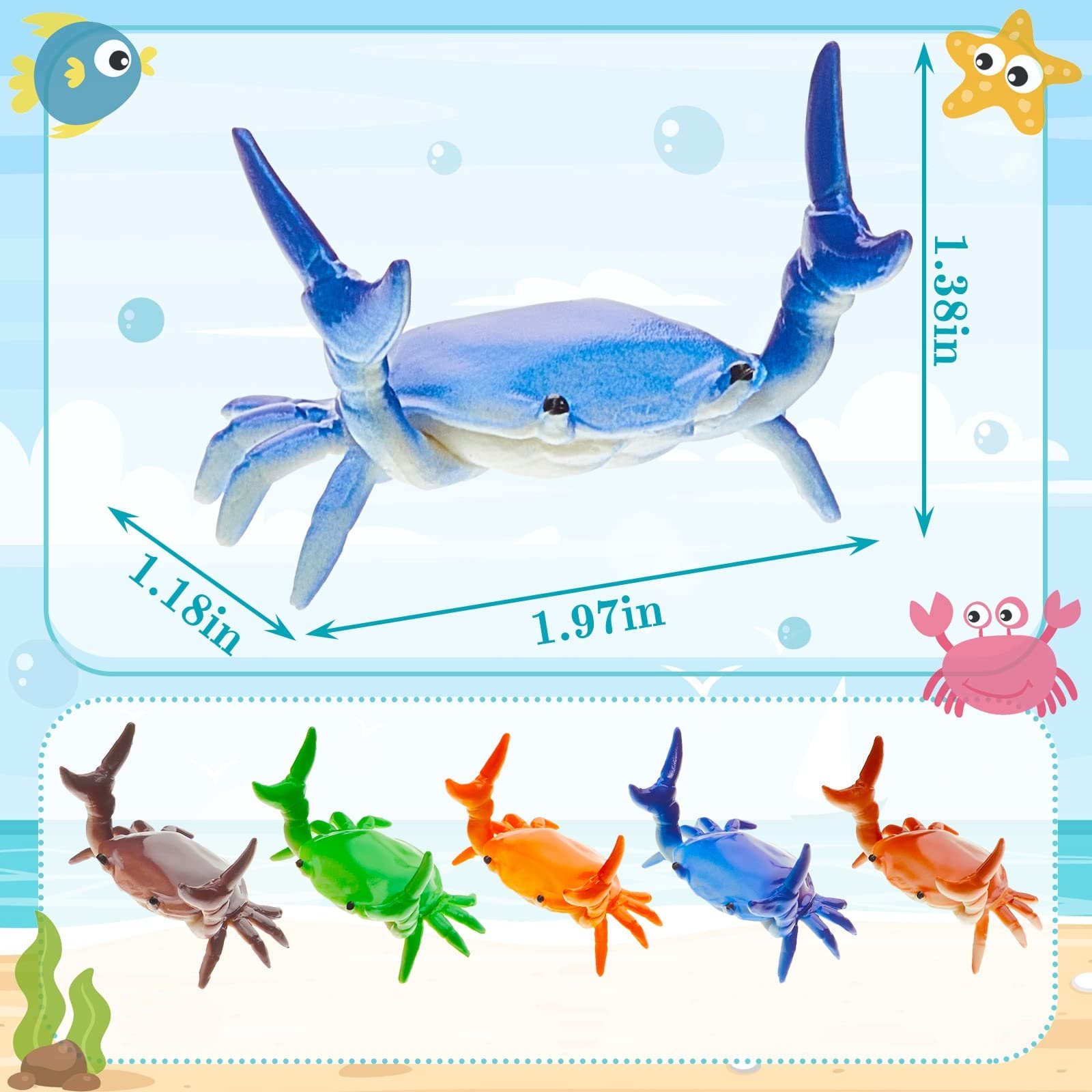 Funny Crab Holder Colors