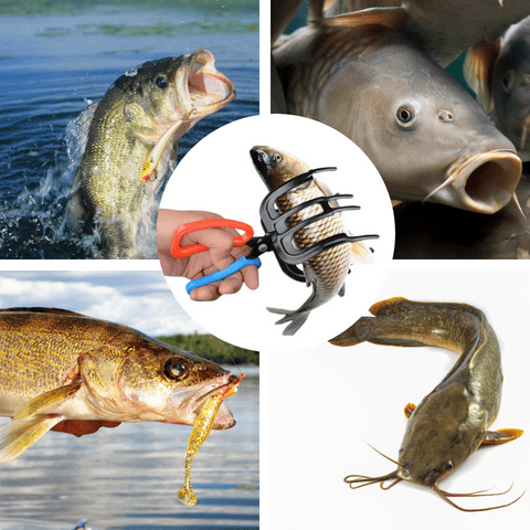 Fishing Pliers Gripper Metal Fish Control