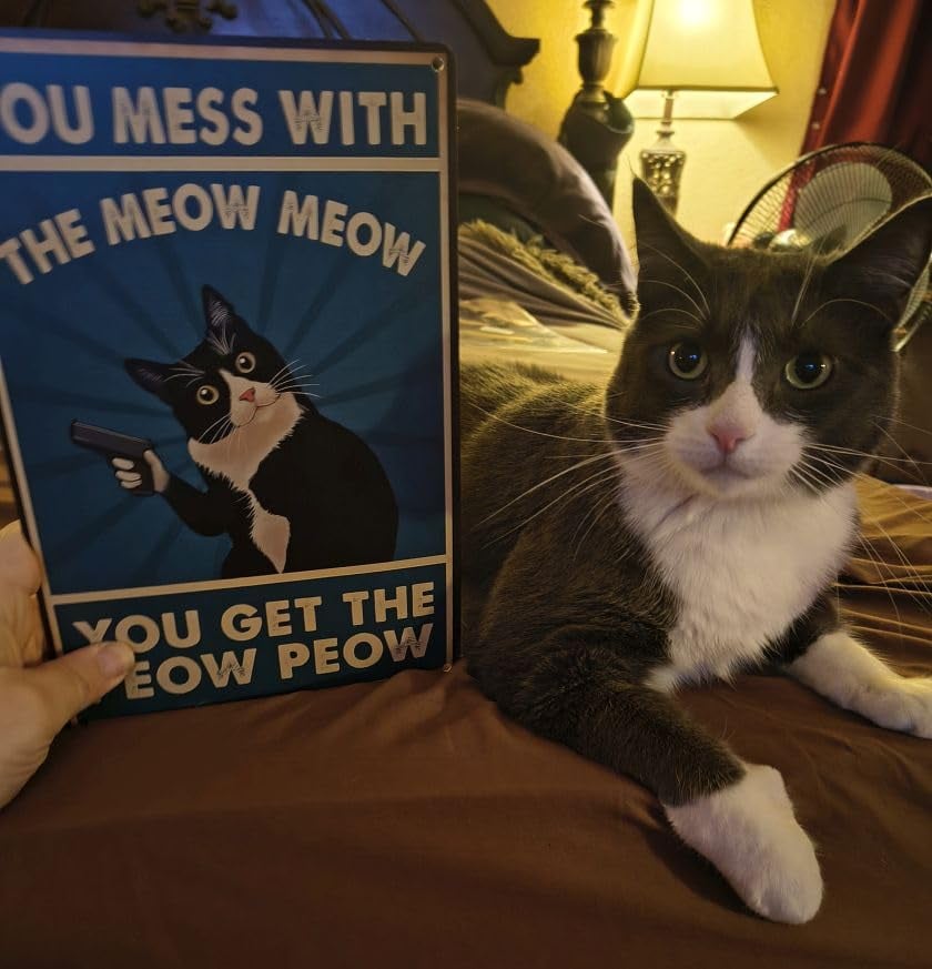 Customer image 2 Customer image 2