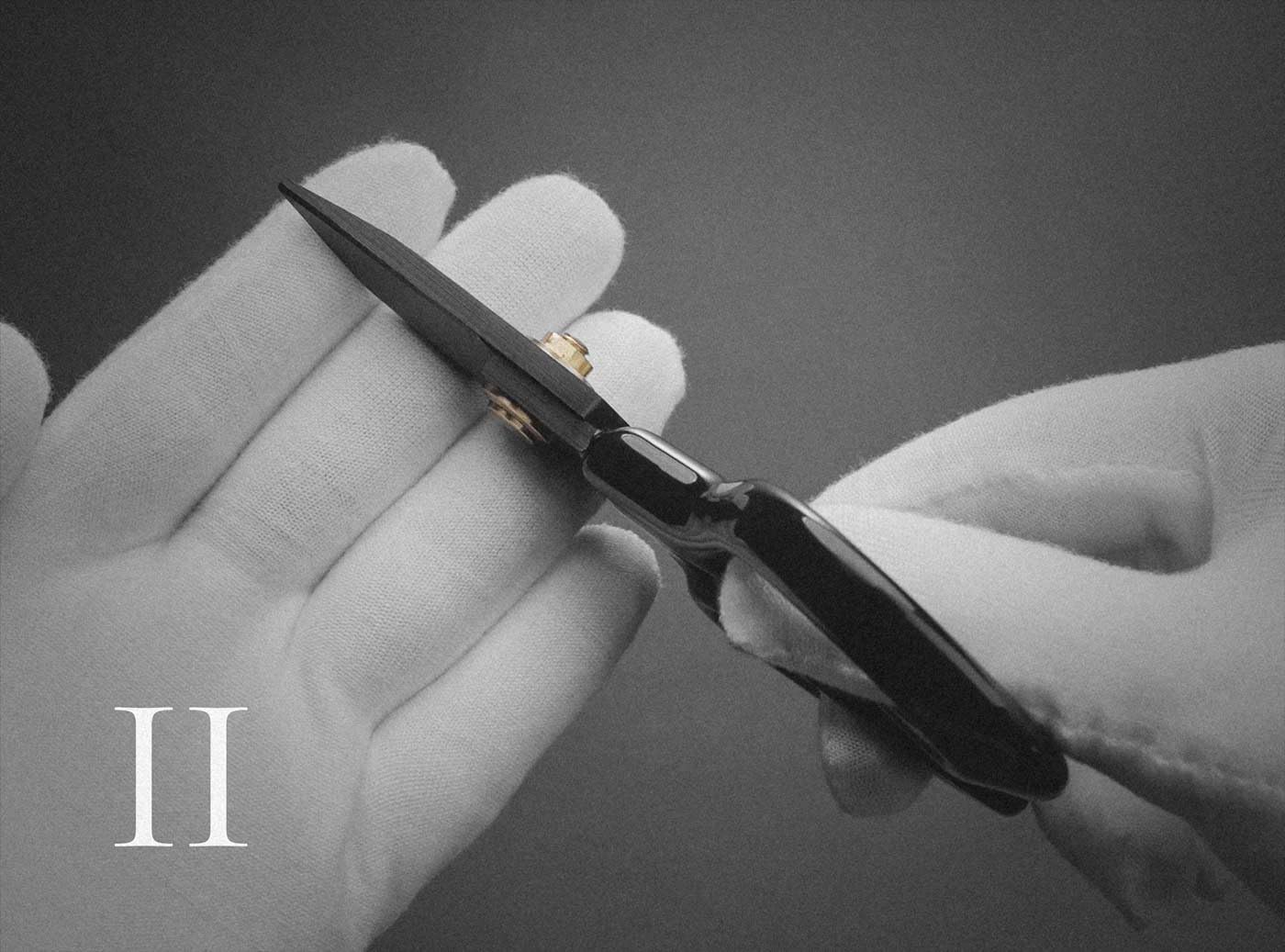 Scissors in Hand