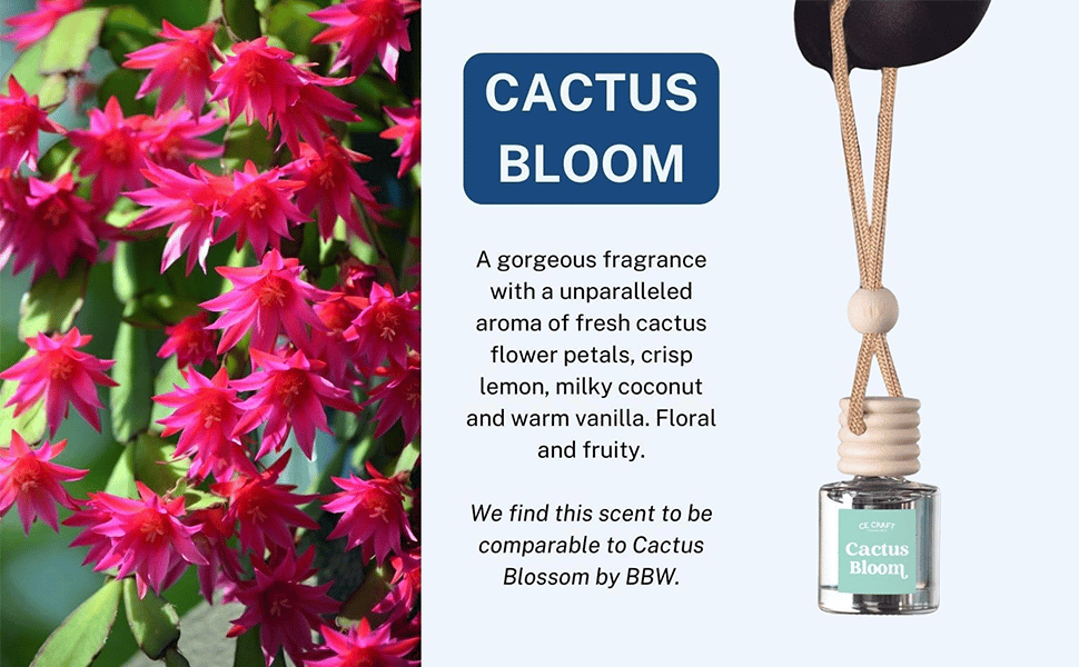 Oils, Scents Fragrance Aromatherapy Automobile Diffuser, Long Lasting Car Diffuser Bottle 2 Pack Oils, Scents Fragrance Aromatherapy Automobile Diffuser, Long Lasting Car Diffuser Bottle 2 Pack