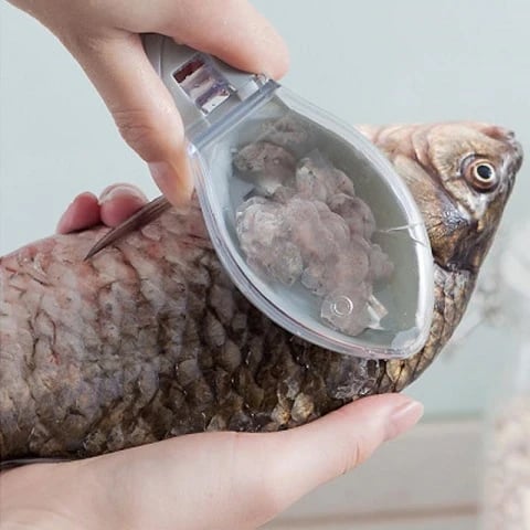 How to use fish scale remover