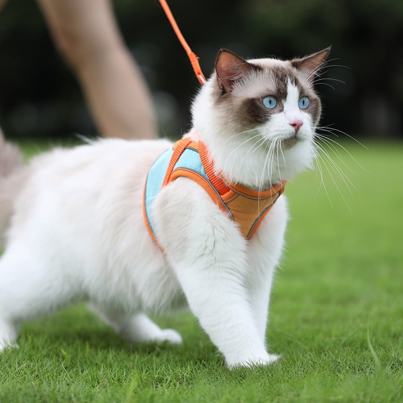 Cat Harness Hero