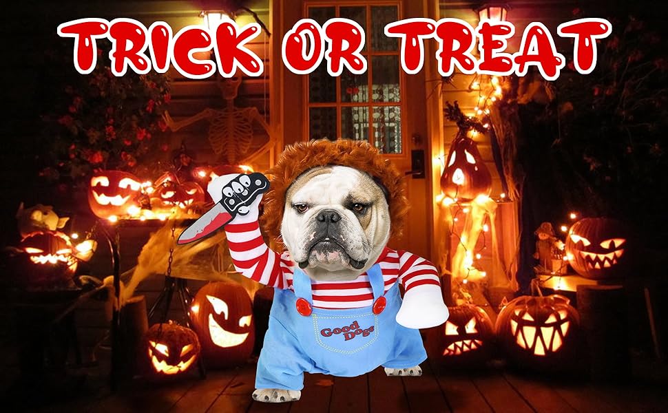 dog chucky costume