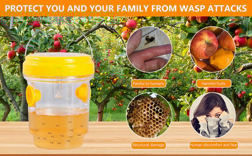 Wasp trap