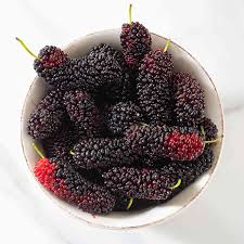 What Are Mulberries?