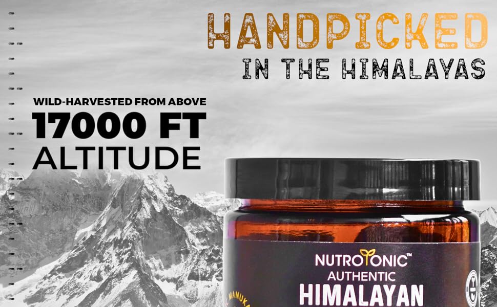 Authentic Himalayan Shilajit Gummies