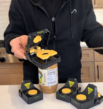 Mousetrap Action Video