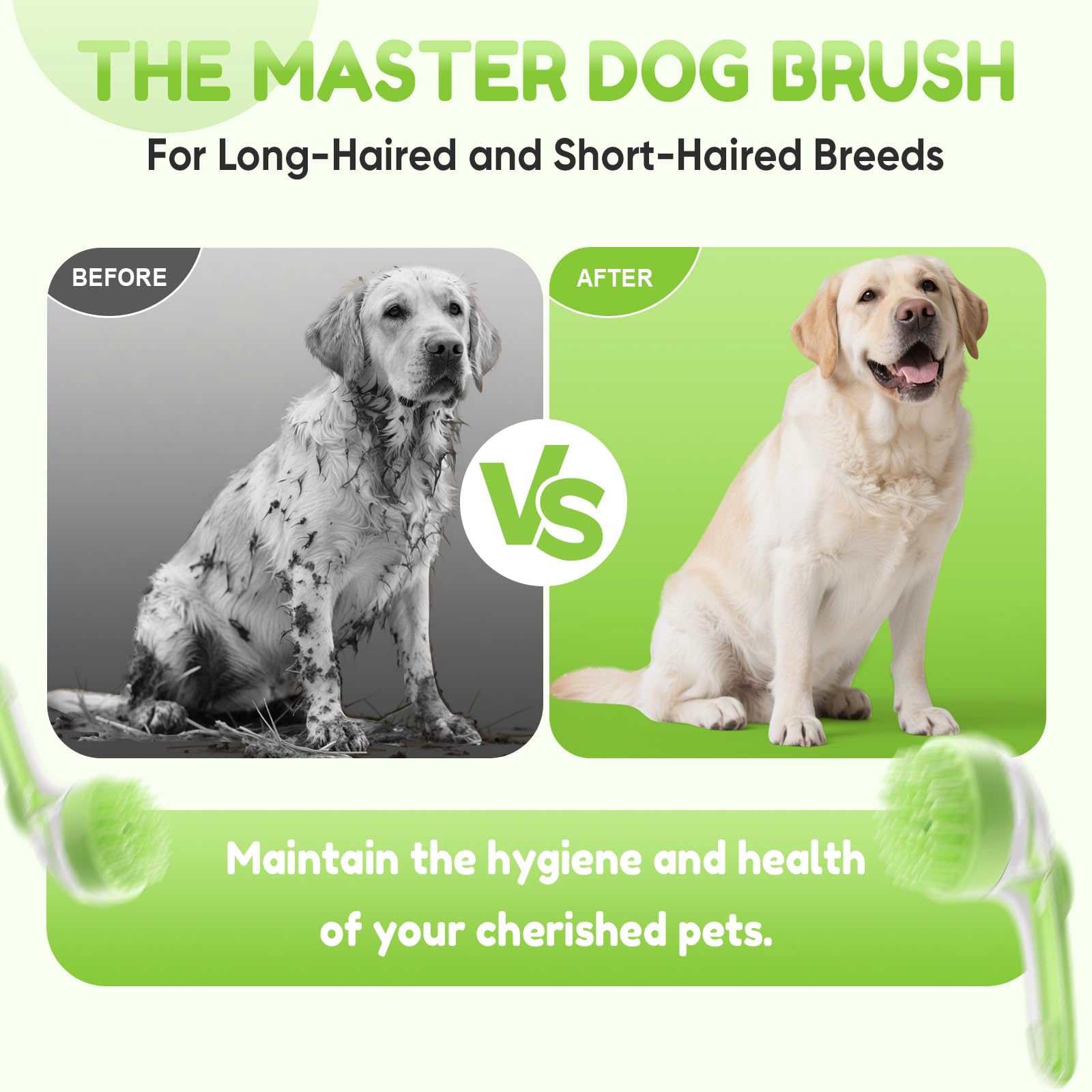 Dog Before and After Muddy vs Clean