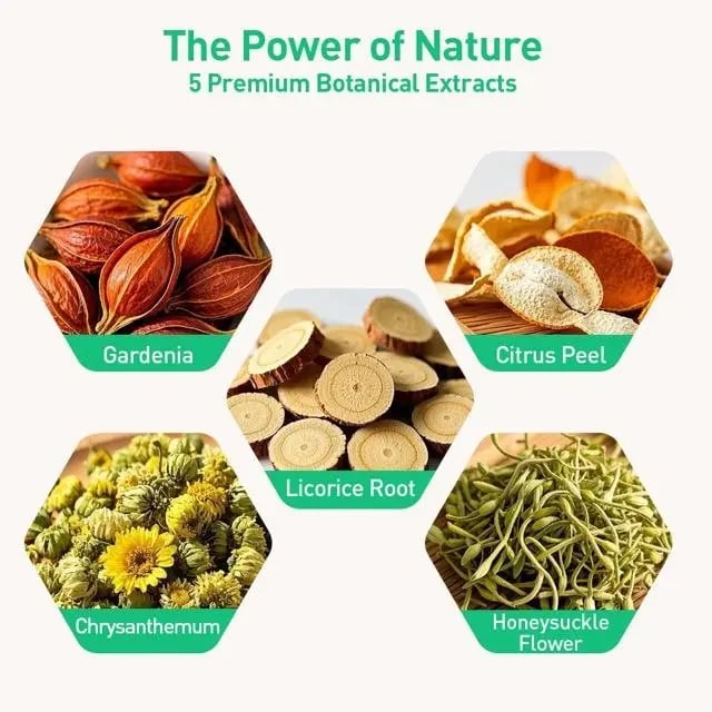 Product Introduction of Chicory 6 and Gardenia Herbal Tea Ready to Eat Convenient | Orange Peel & Chrysanthemum – Cool Relief from Heat| 12 Tea Bags Natural Ingredients Brewed 1