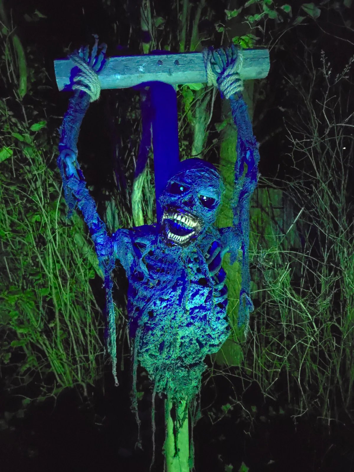 Strung out Corpse