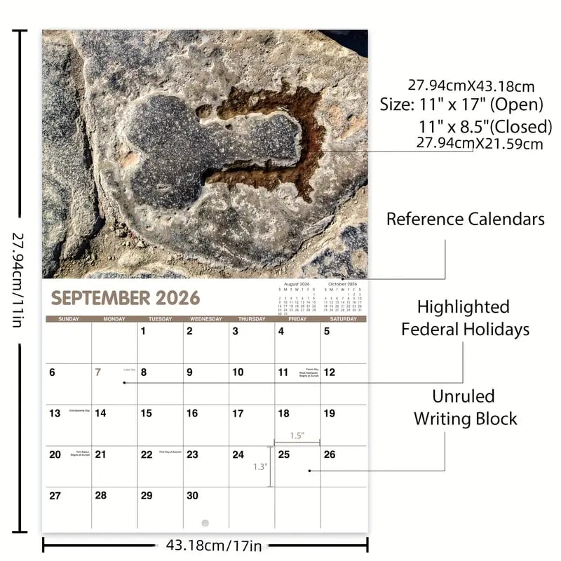 funny 2026 wall calendar large 11x8 5 inch funny birthday or office decoration thick paper pages with monthly dates jan dec 2026 planner   elephant gift for parties pranks novelty desk decor vibrant cover design durable binding party prank   decor   print   4