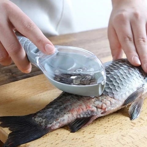 Fish scaler removing fish scales