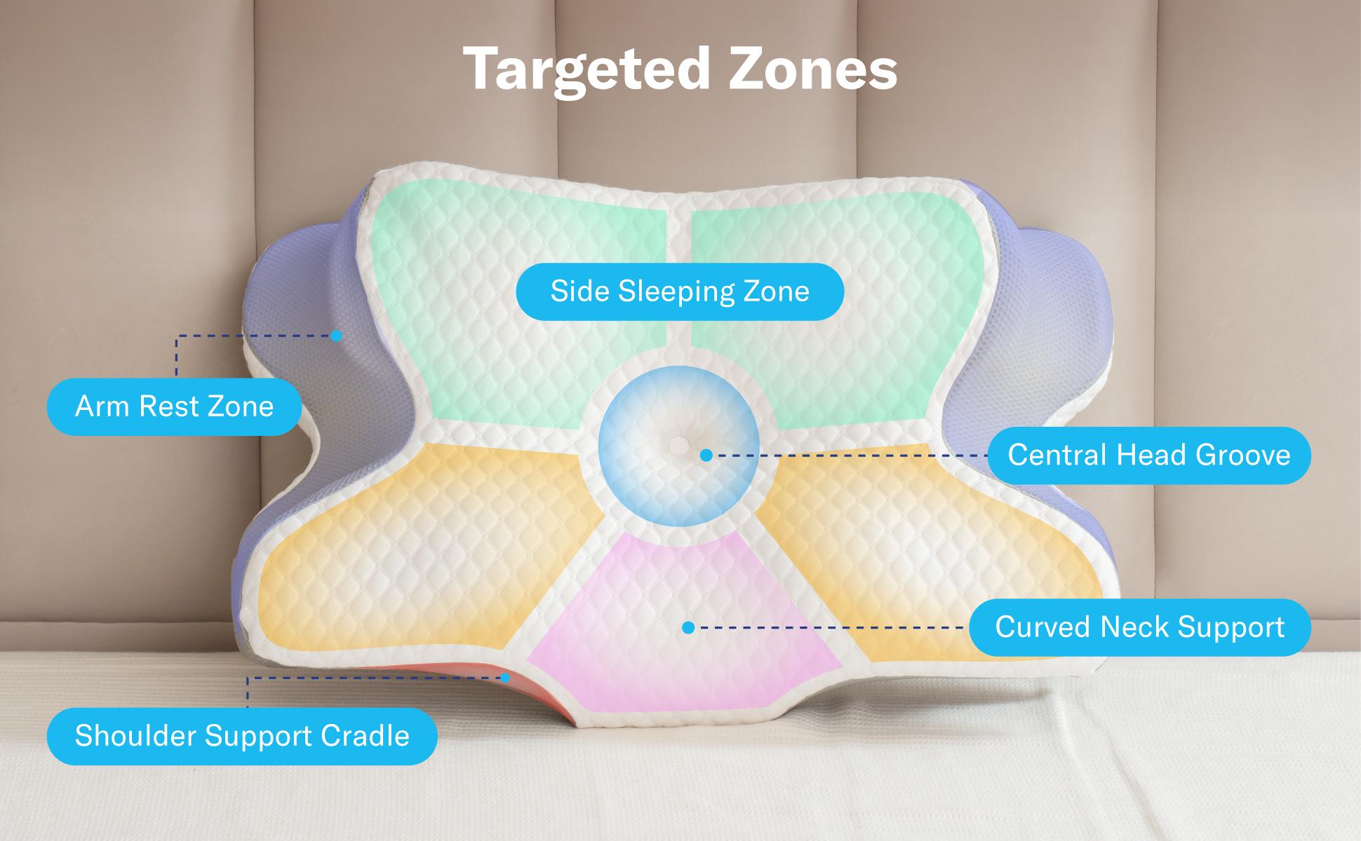 Targeted ergonomic support zones