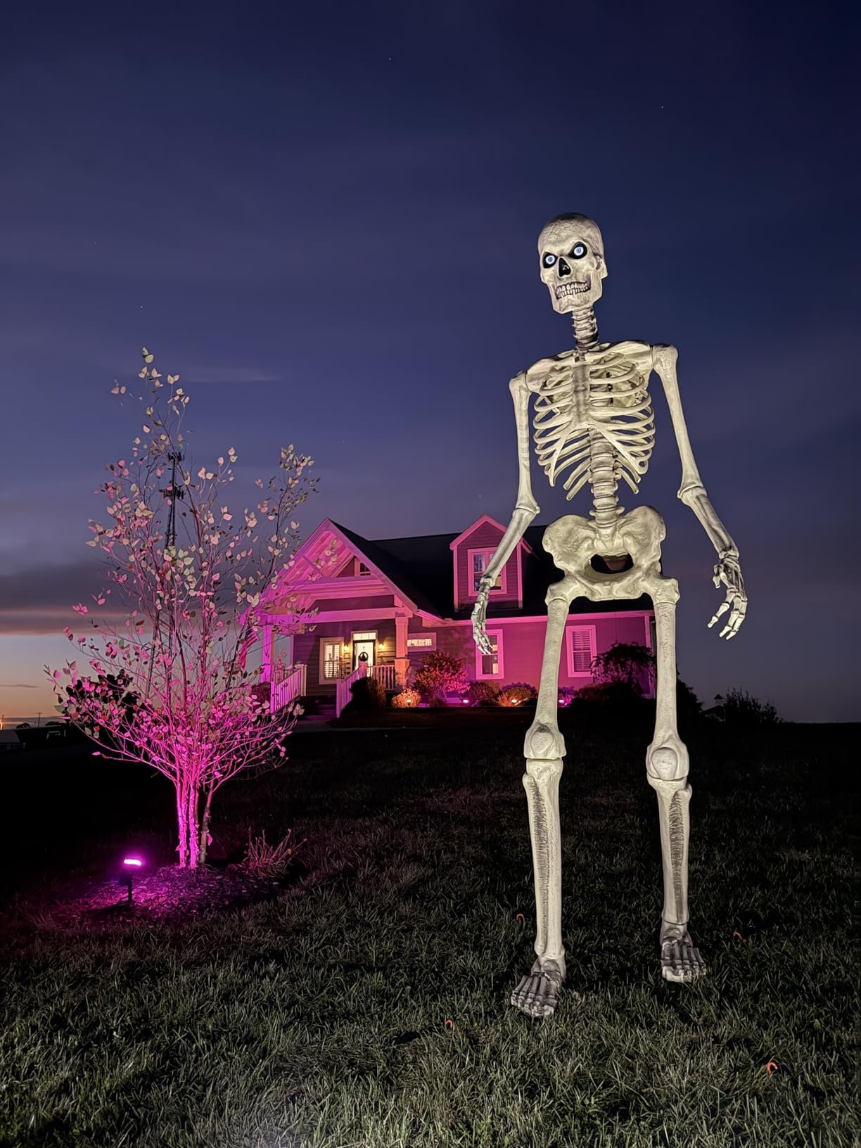 Customer review securing outdoor decoration with ground anchor
