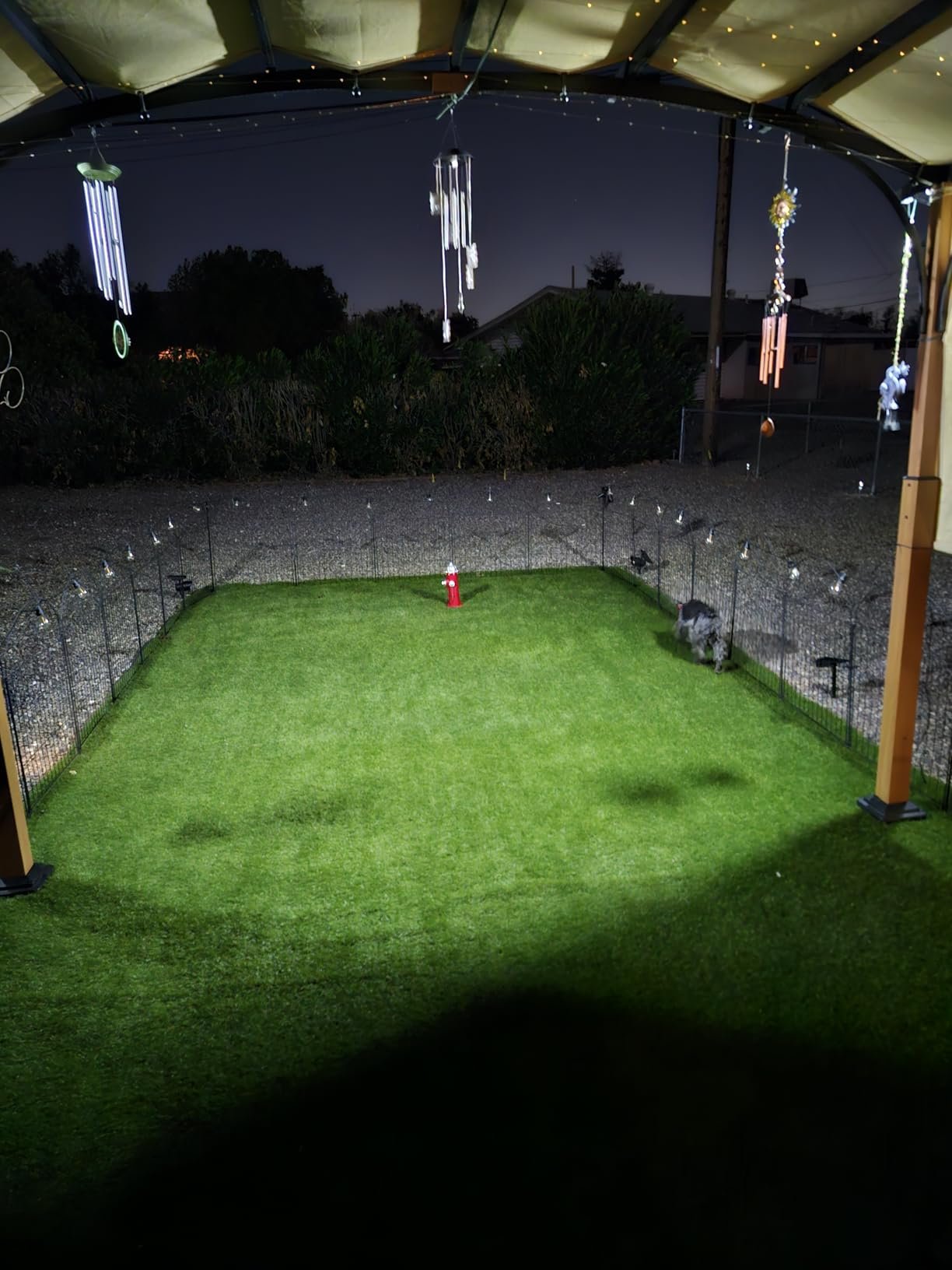 Friday Night Lights! Friday Night Lights!