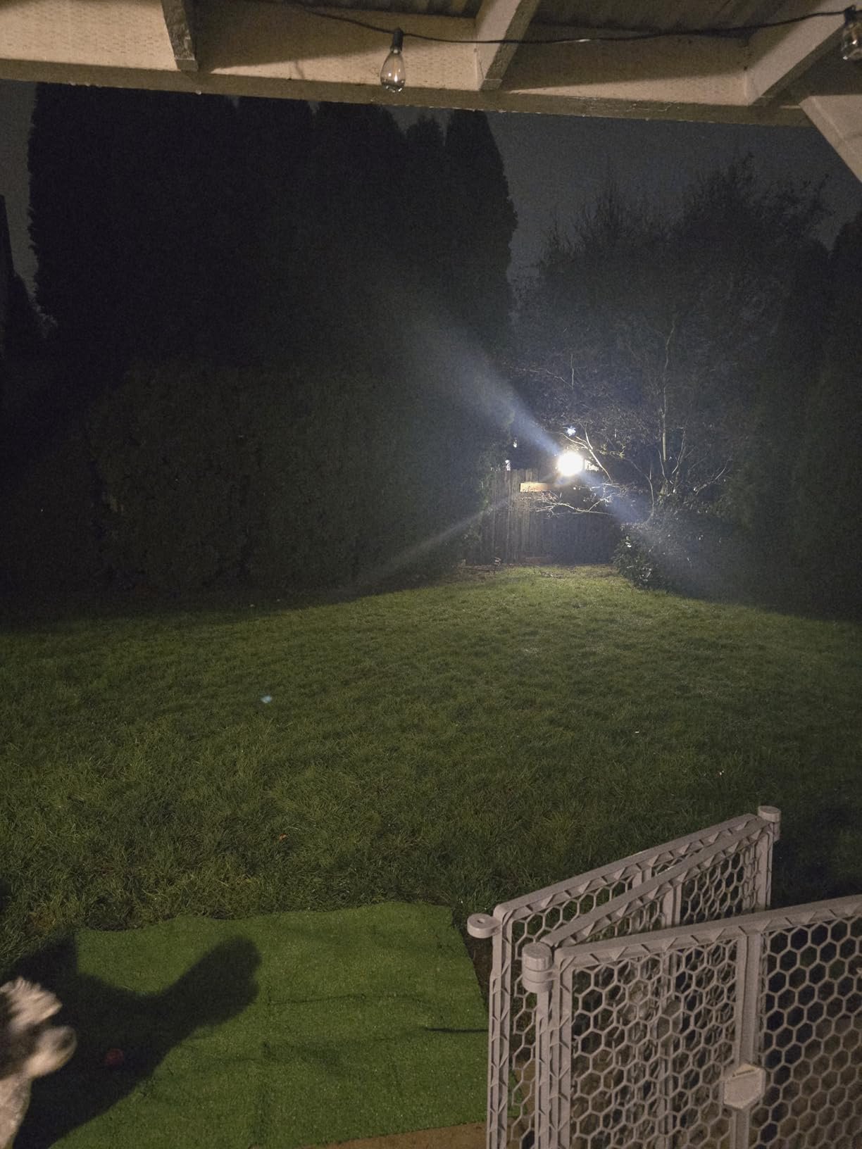 Motion sensor instructions Motion sensor instructions